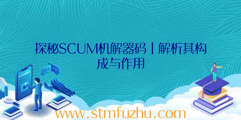 探秘SCUM机解器码|解析其构成与作用